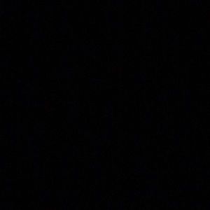 Meet your Posher, Cheyenne